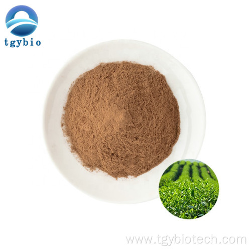 Green Tea Extract Polyphenol 98% EGCG 40% Catechins